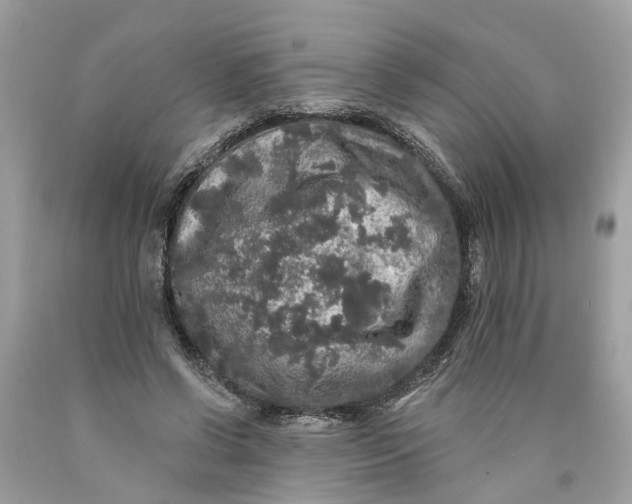 X0000089960542200707201951