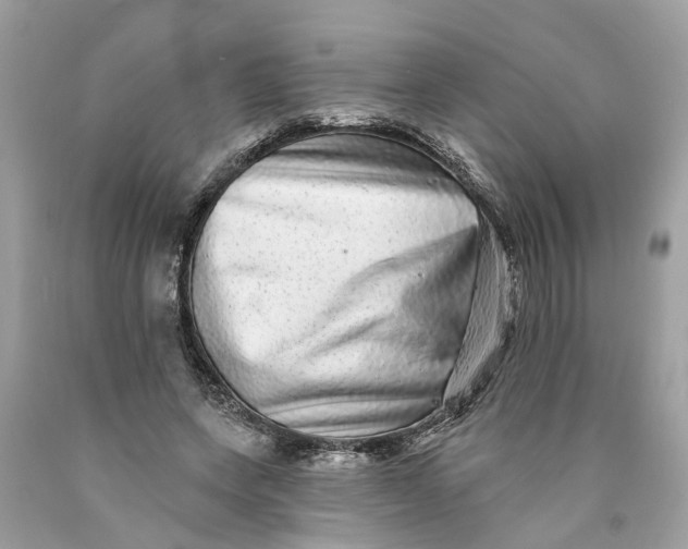 X0000089960543200707201951