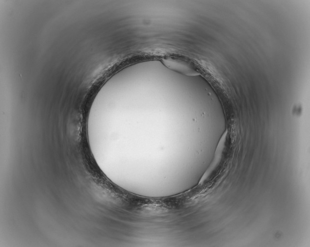 X0000089960544200707201951