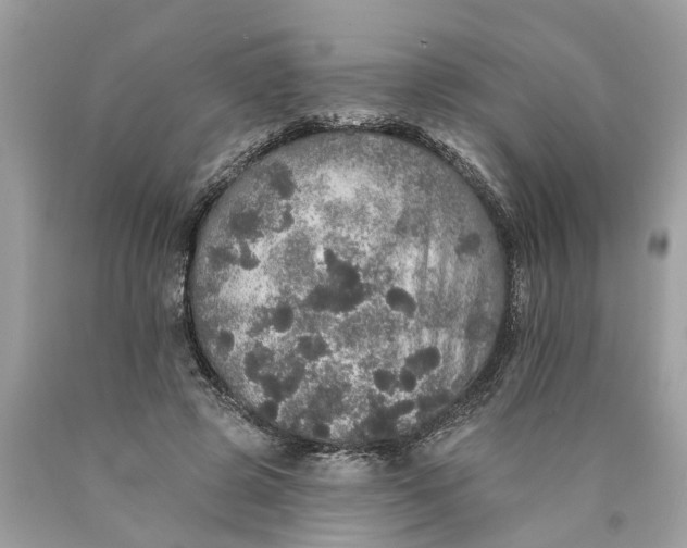 X0000089960545200707201951