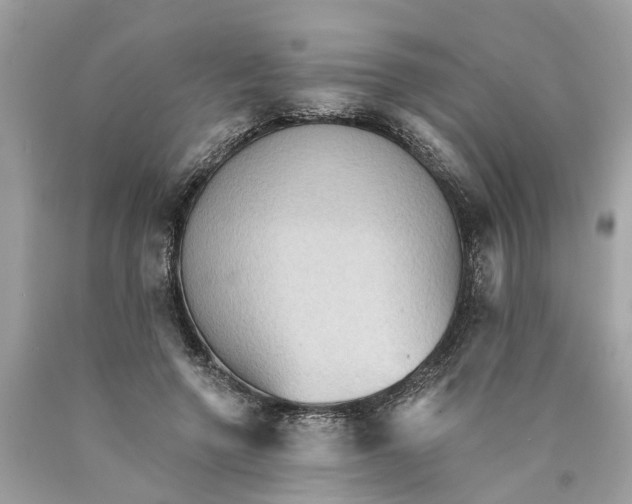 X0000089960546200707201951