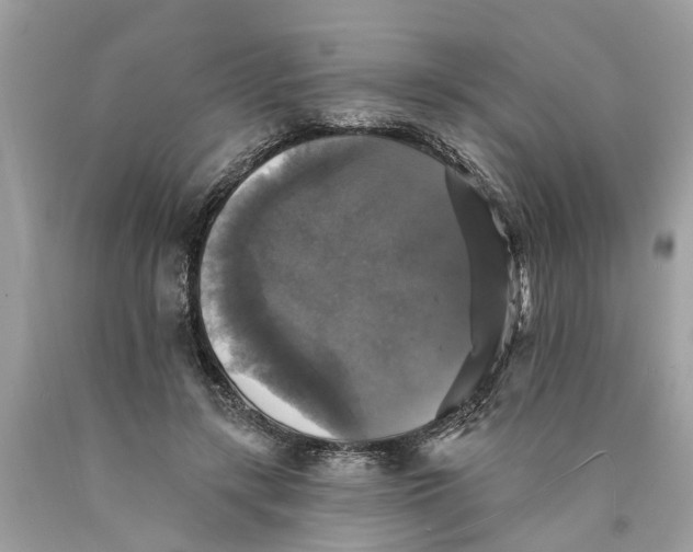 X0000089960547200707201951