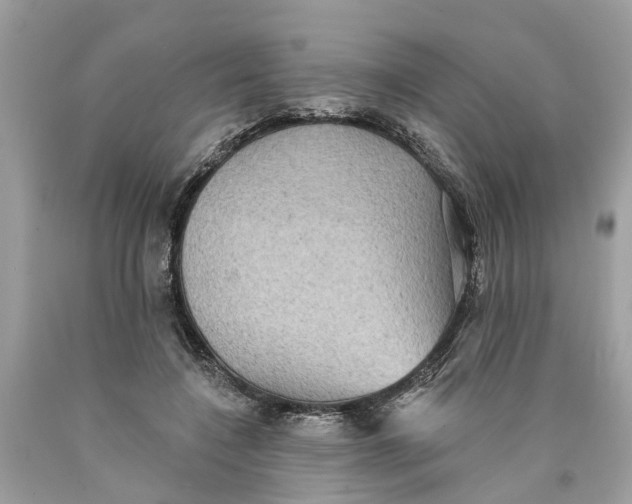 X0000089960548200707201951