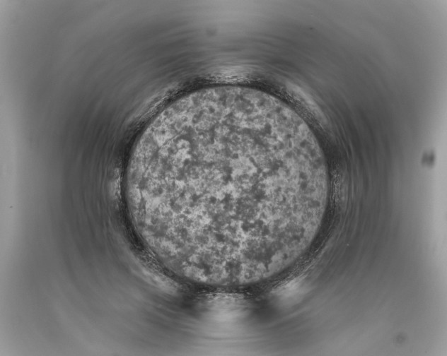 X0000089960549200707201951