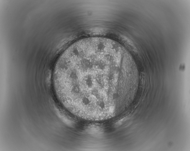 X0000089960550200707201951