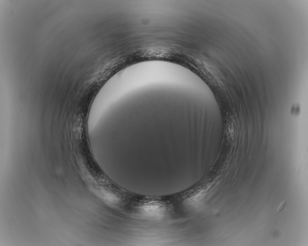 X0000089960551200707201951