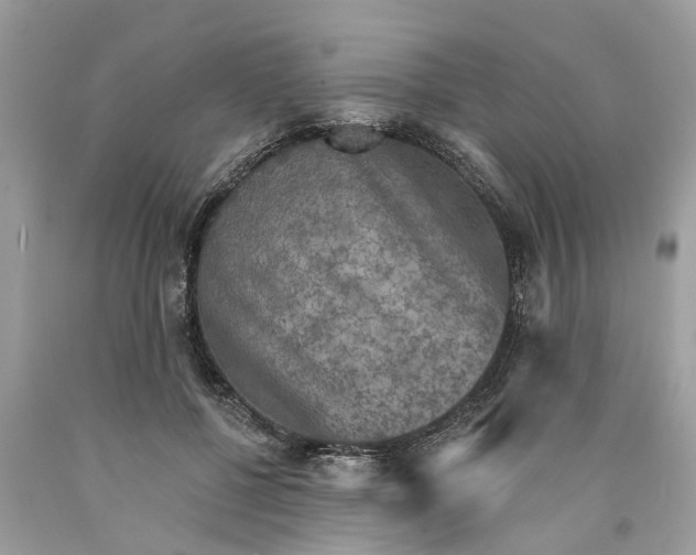 X0000089960552200707201951