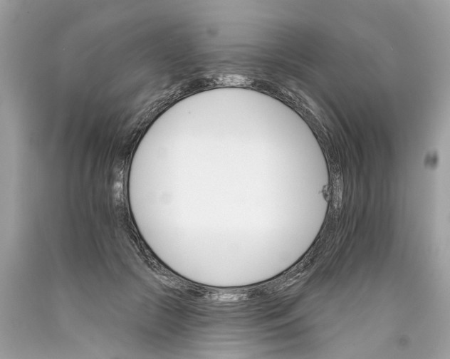 X0000089960553200707201951