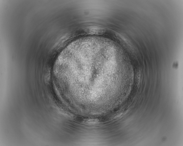 X0000089960554200707201951