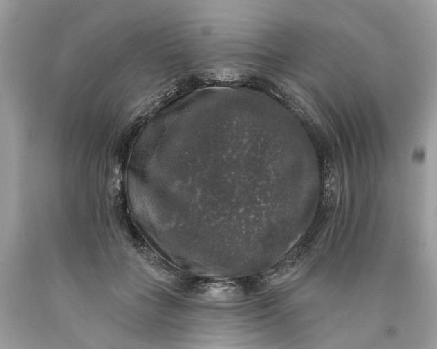 X0000089960555200707201951