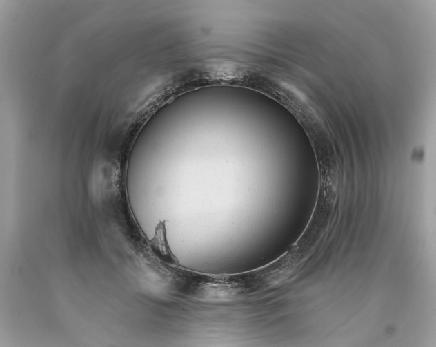 X0000089960556200707201951