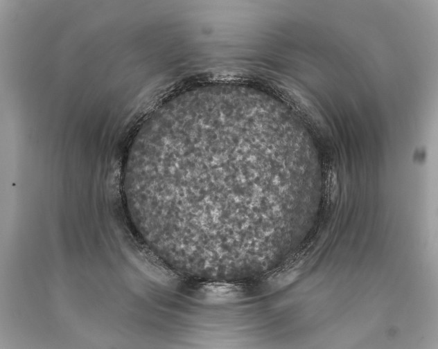 X0000089960557200707201951