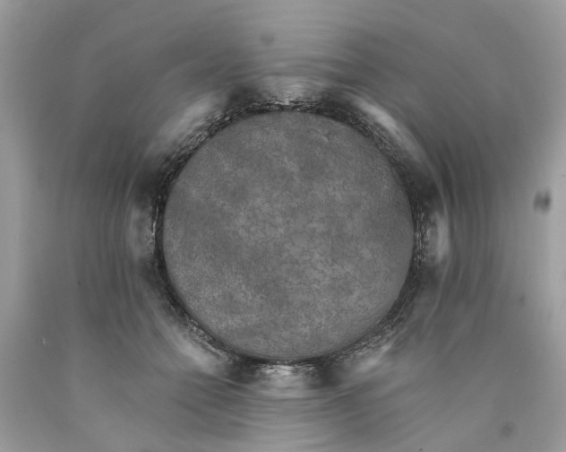 X0000089960558200707201951