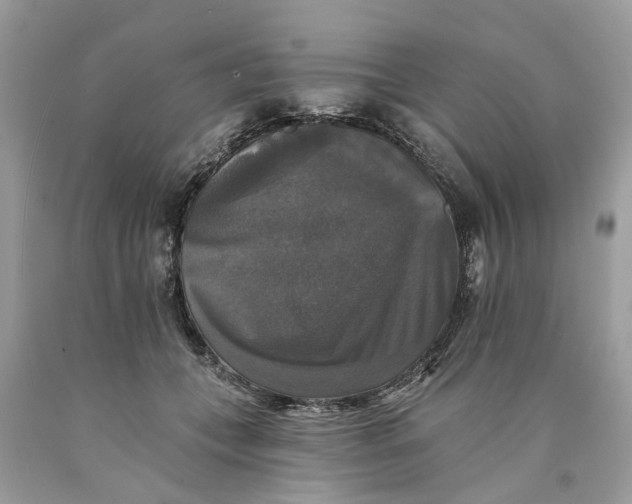 X0000089960559200707201951