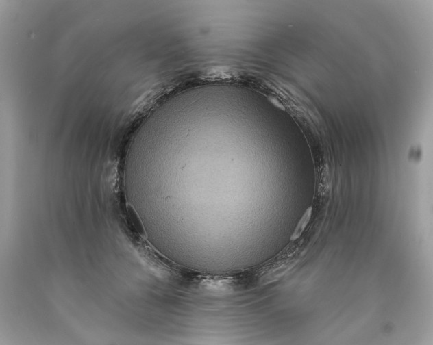 X0000089960560200707201951