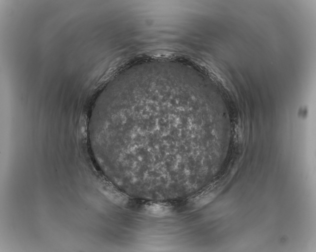 X0000089960561200707201951