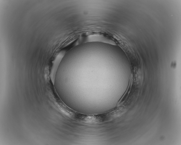 X0000089960562200707201951