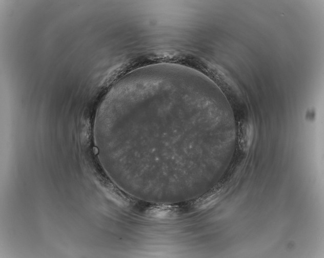 X0000089960563200707201951