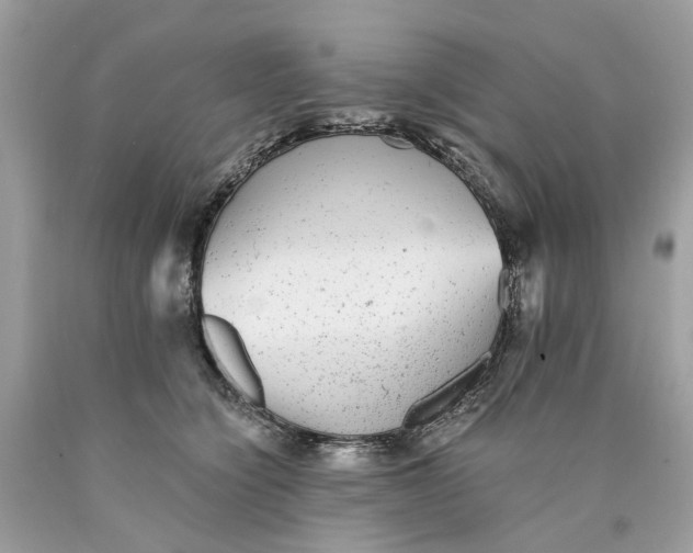 X0000089960564200707201951