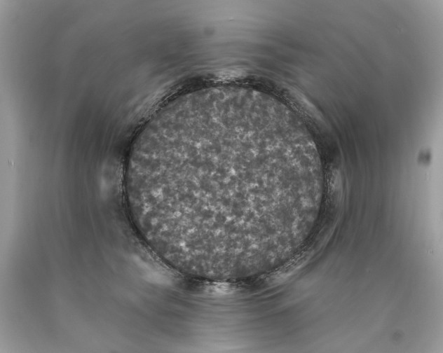 X0000089960565200707201951