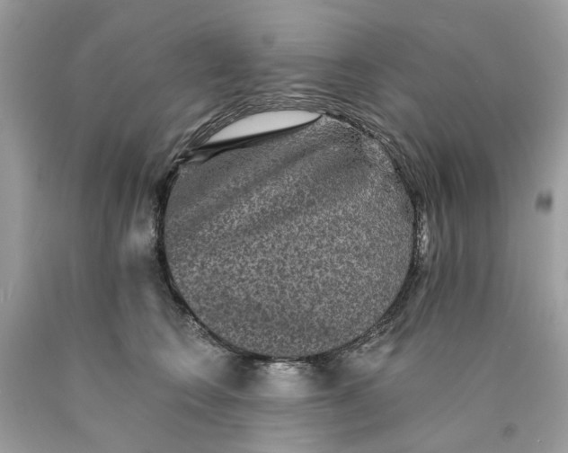 X0000089960566200707201951