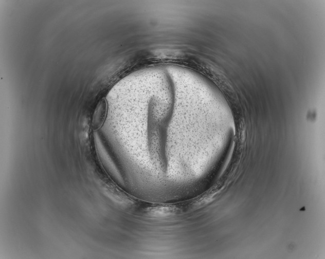 X0000089960567200707201951