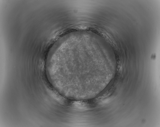 X0000089960568200707201951