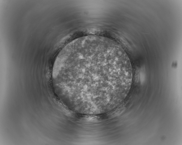 X0000089960569200707201951