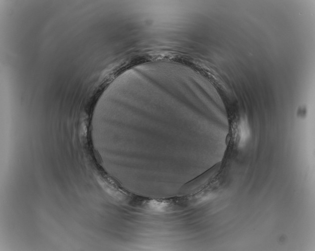 X0000089960570200707201951