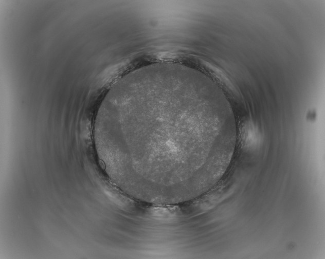 X0000089960571200707201951