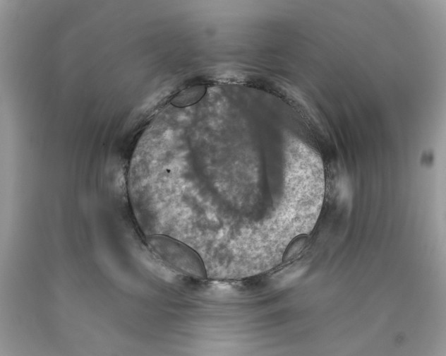 X0000089960573200707201951