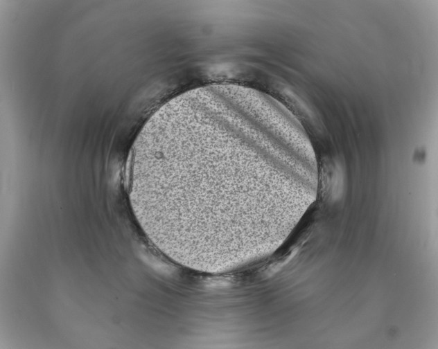 X0000089960574200707201951