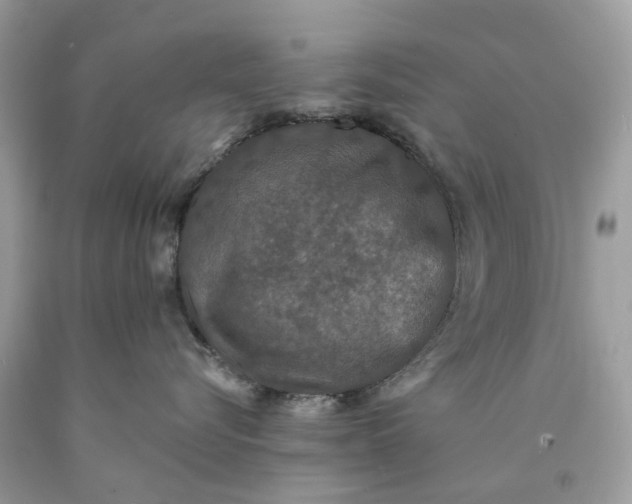 X0000089960576200707201951