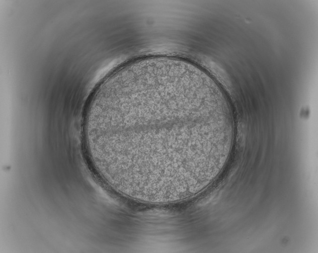 X0000089960578200707201951