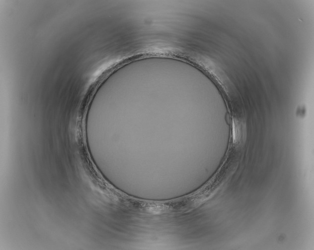 X0000089960579200707201950