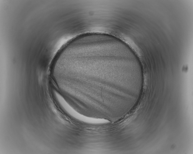 X0000089960580200707201950