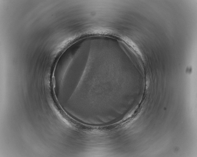 X0000089960581200707201950