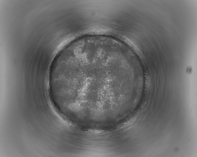 X0000089960582200707201950