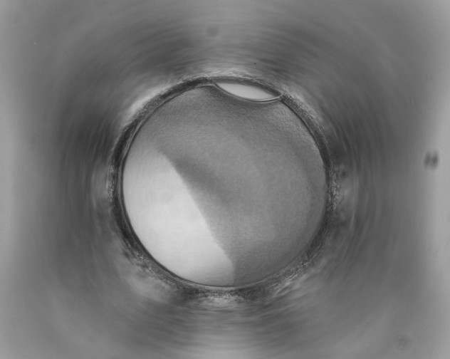 X0000089960583200707201950