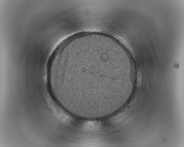 X0000089960584200707201950