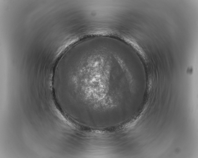 X0000089960585200707201950