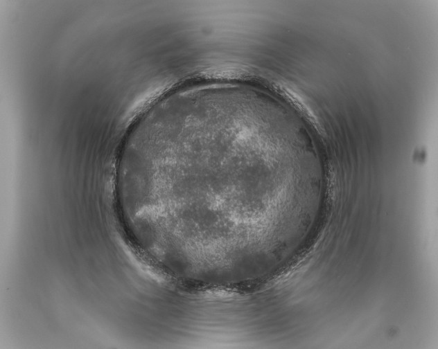 X0000089960586200707201950