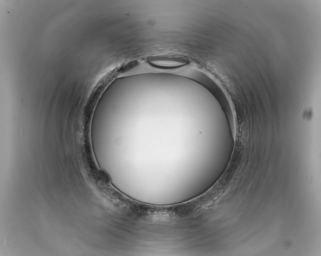 X0000089960587200707201950