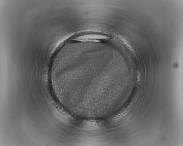 X0000089960588200707201950