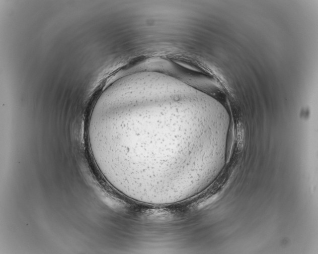 X0000089960589200707201950