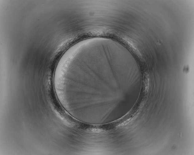 X0000089960590200707201950