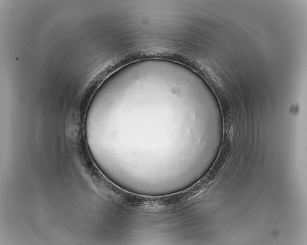 X0000089960591200707201950