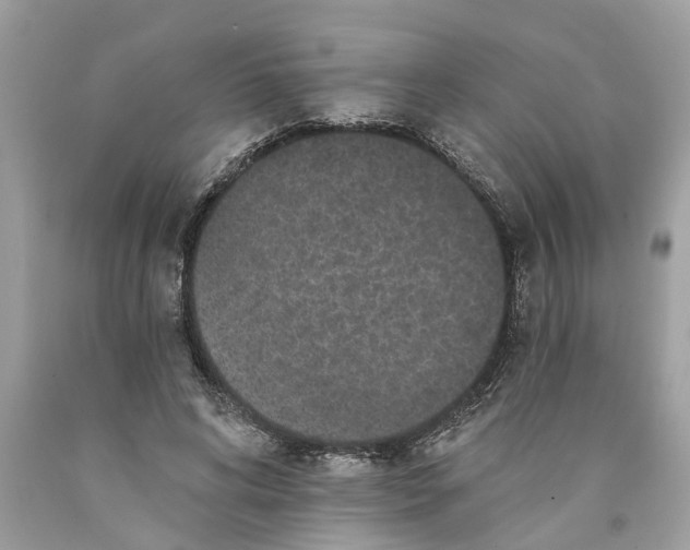 X0000089960592200707201950