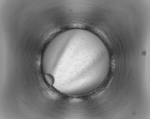 X0000089960593200707201950