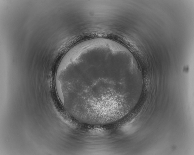 X0000089960594200707201950